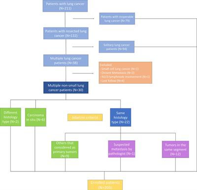 Molecular Identification and Genetic Characterization of Early-Stage Multiple Primary Lung Cancer by Large-Panel Next-Generation Sequencing Analysis